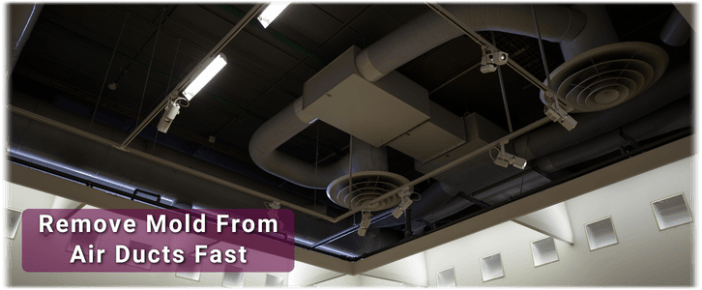 Air Duct Mold Removal in Whittier