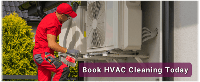HVAC Mold Removal Whittier